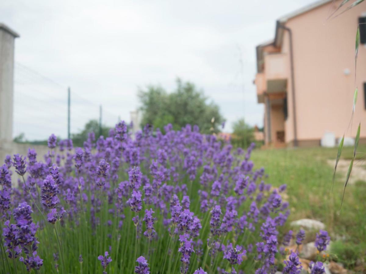 Apartment Lavandula Labin  Bagian luar foto